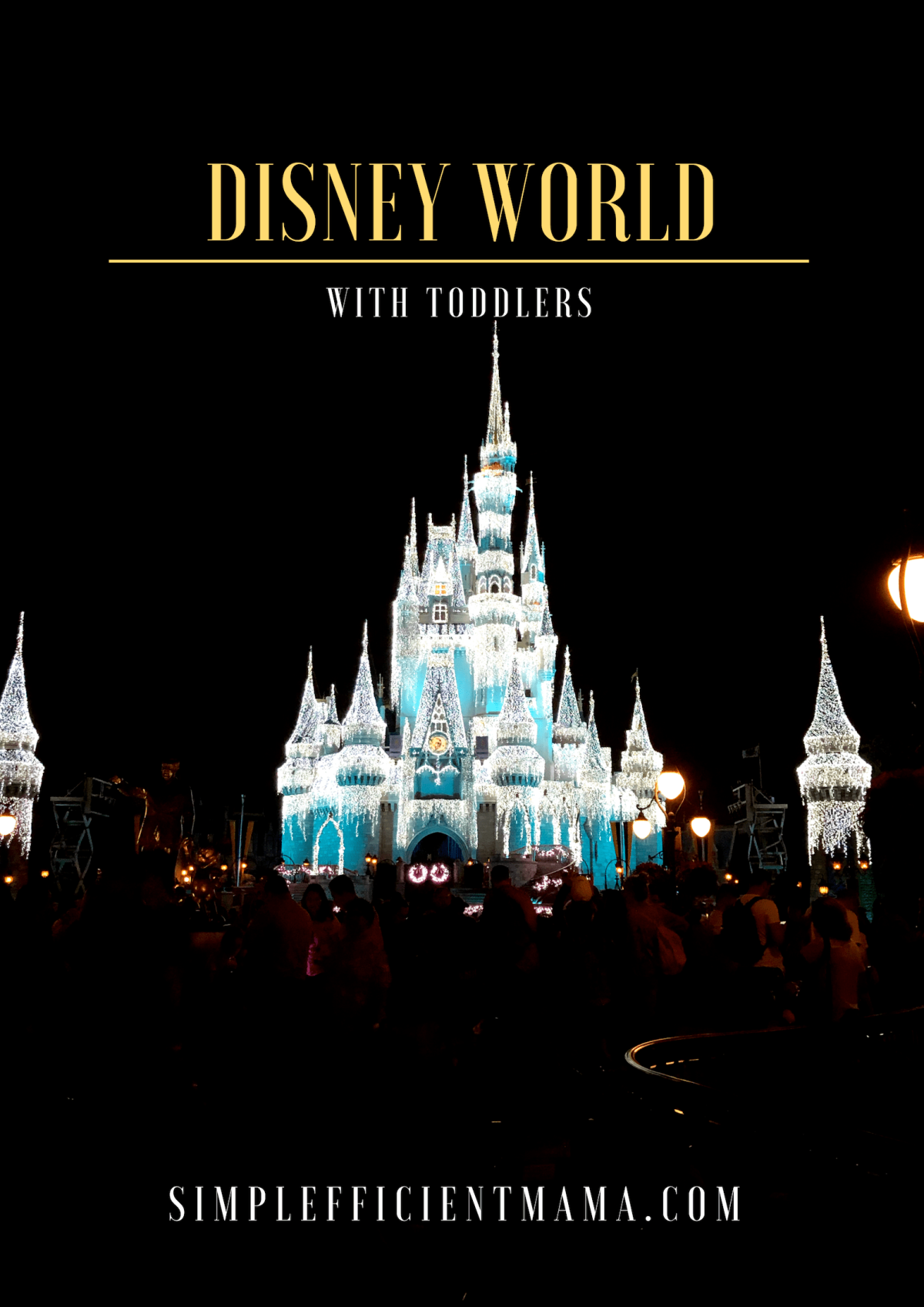 Disney World – with the kiddos