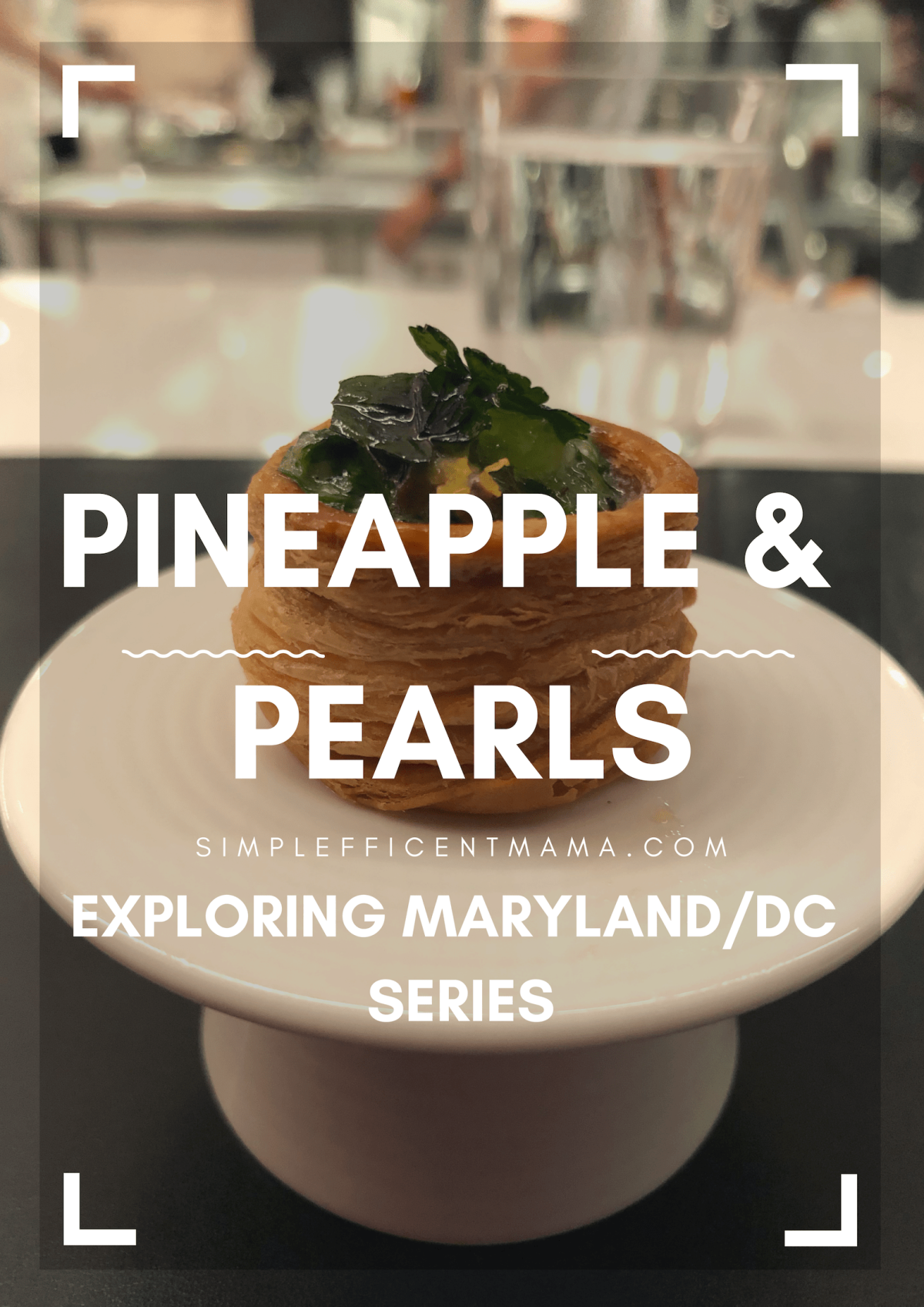 Pineapple and Pearls – Exploring Maryland/DC Series